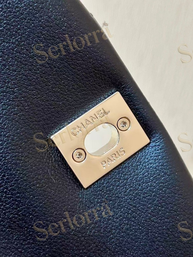 CHANEL MASTER CALFSKIN DUMA BACKPACK