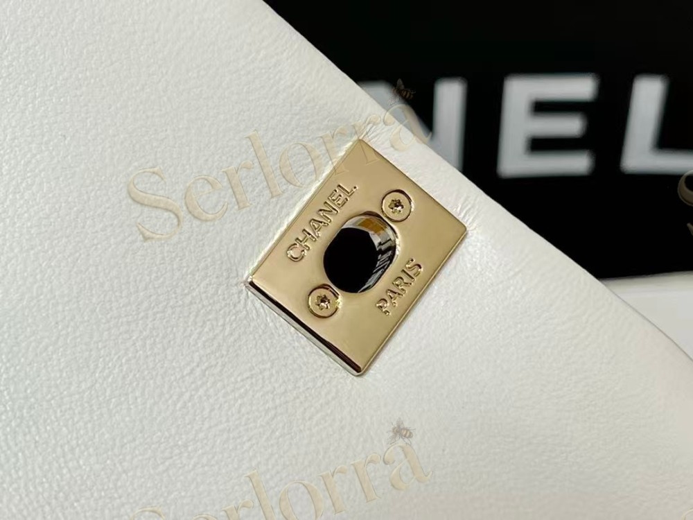CHANEL MASTER LAMBSKIN DUMA BACKPACK