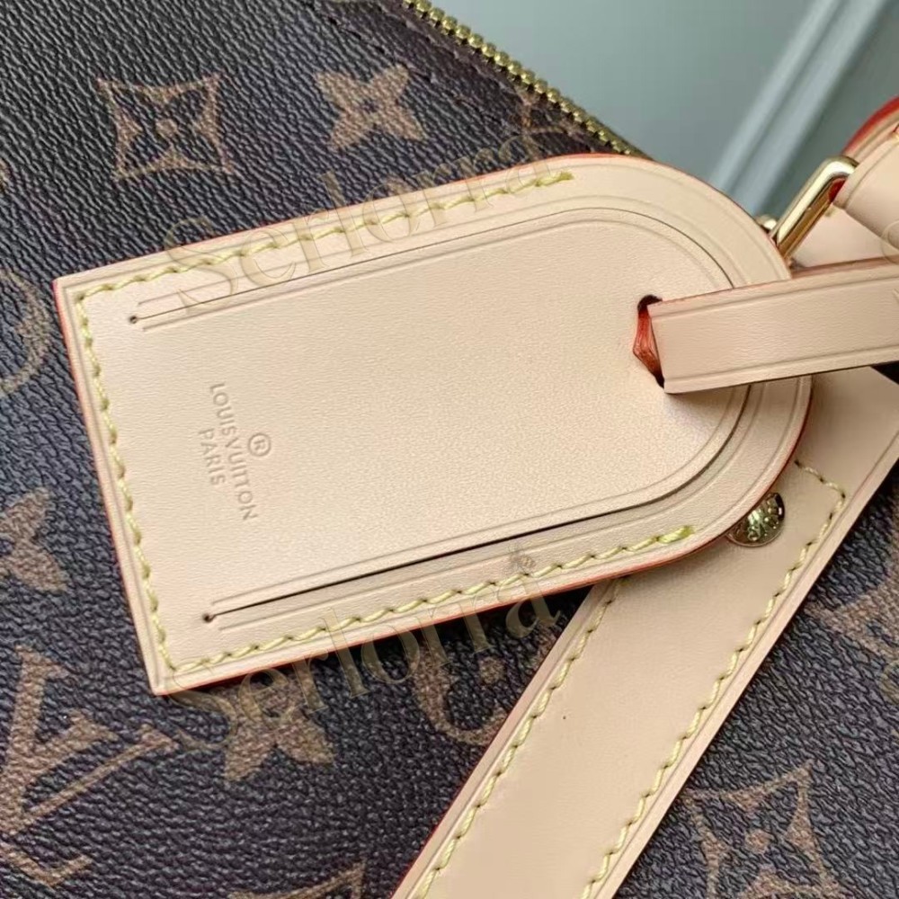 LOUIS VUITTON MURAKAMI LV X TM KEEPALL BANDOULIÈRE 45