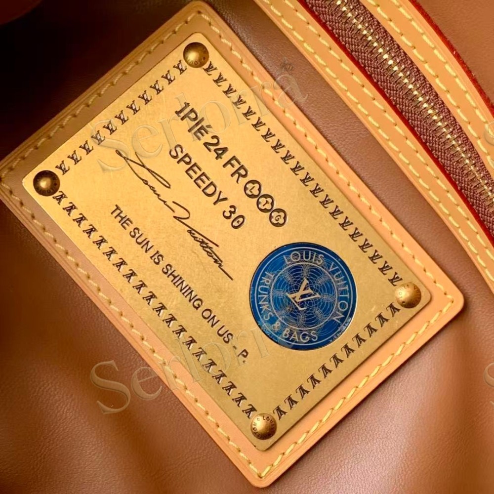 LOUIS VUITTON SPEEDY P9 BANDOULIÈRE 30