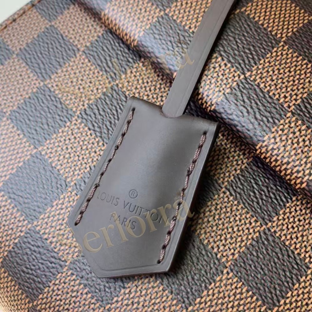 LOUIS VUITTON CLUNY MINI BROWN HANDBAG