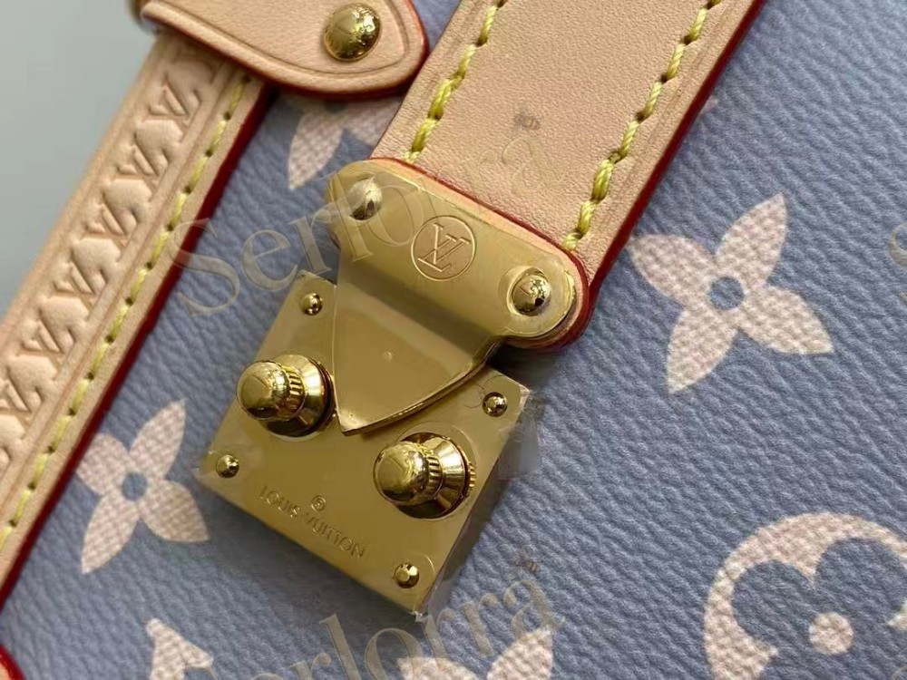 LOUIS VUITTON SIDE TRUNK MM