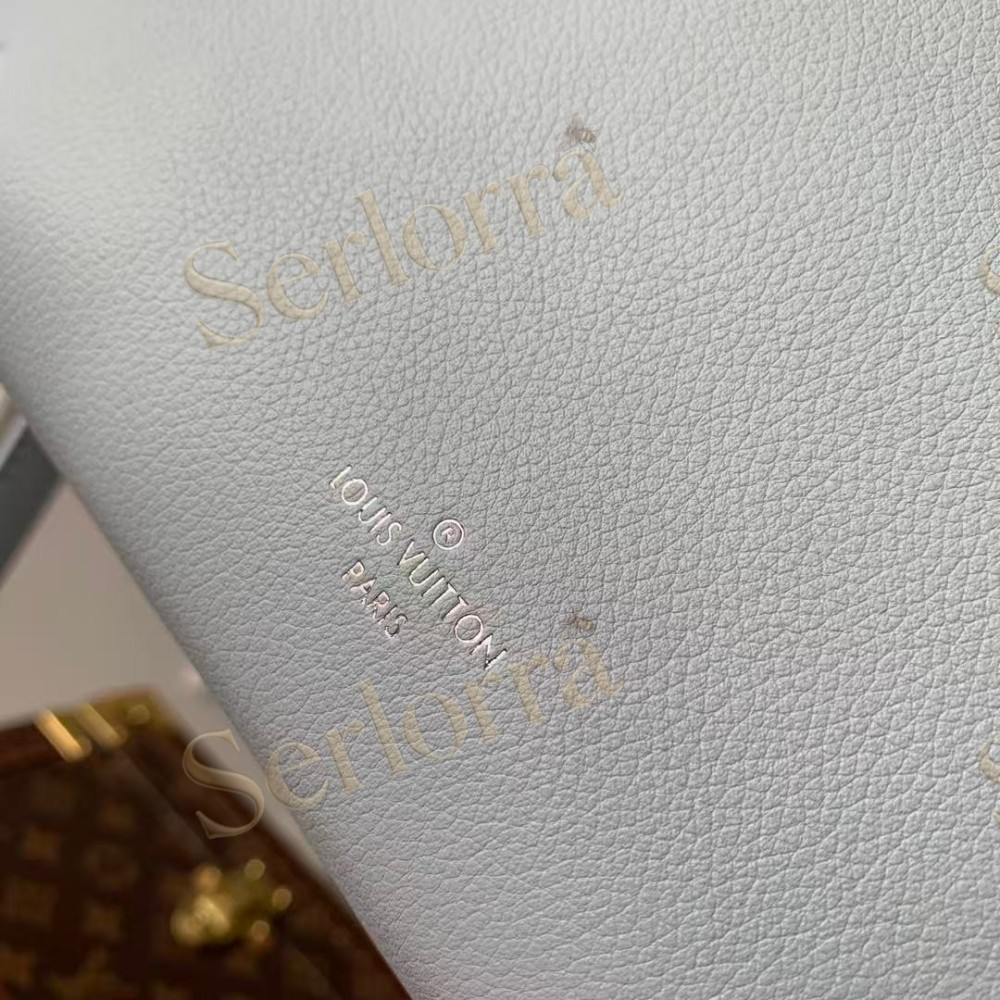 LOUIS VUITTON SIDE TRUNK PM