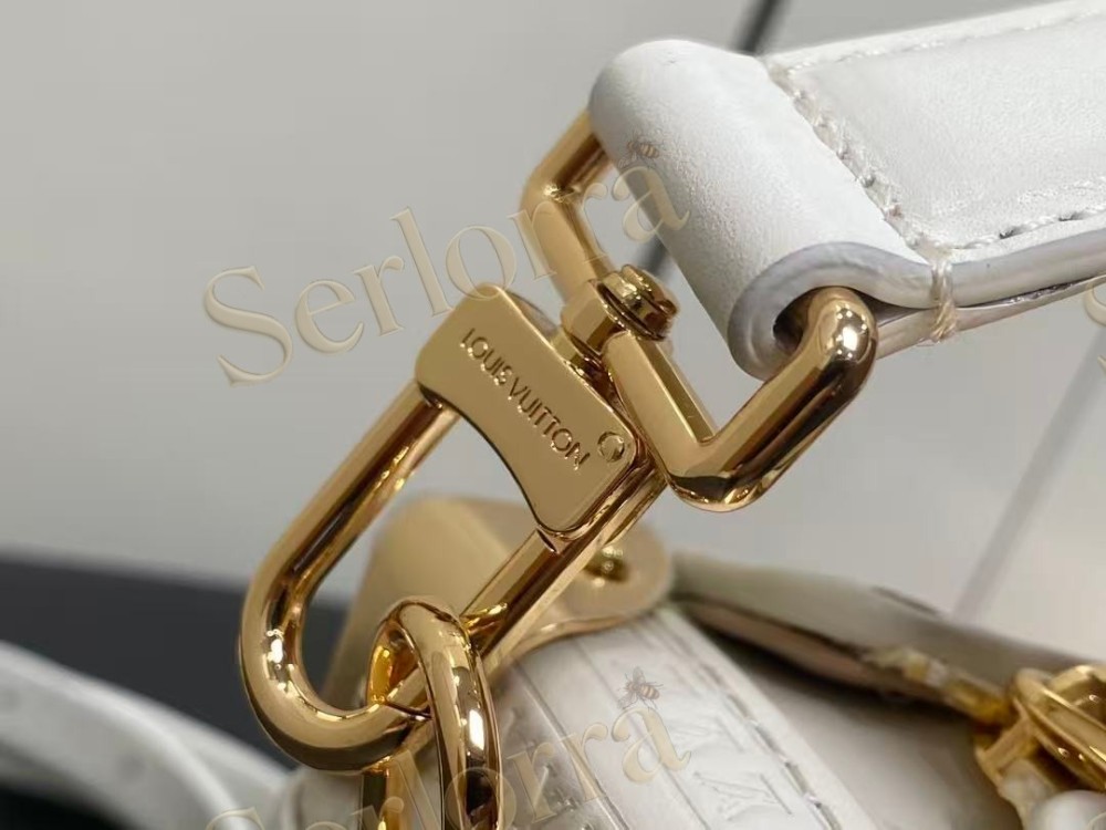 LOUIS VUITTON SIDE TRUNK PM