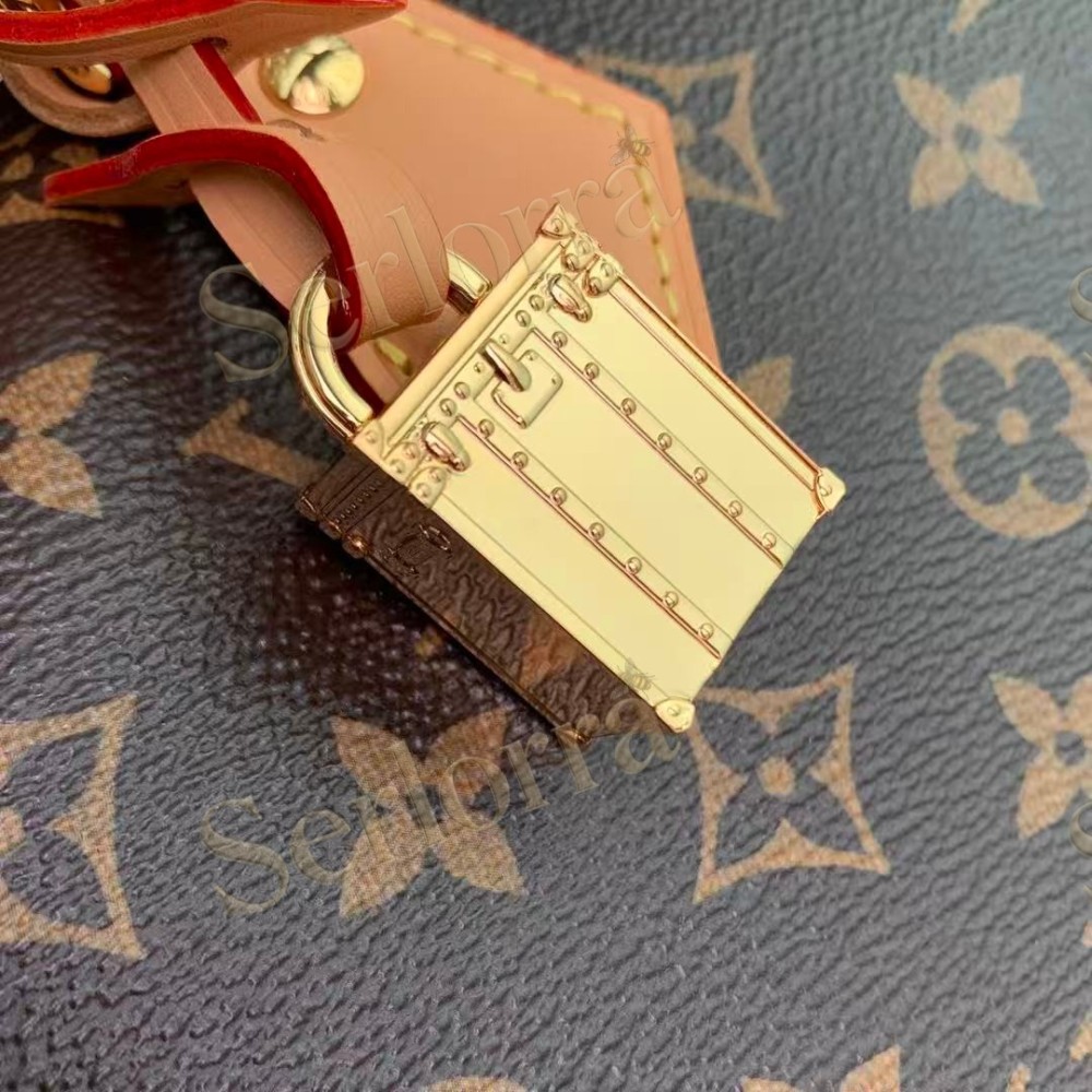 LOUIS VUITTON SPEEDY SOFT 30 CRAFTY