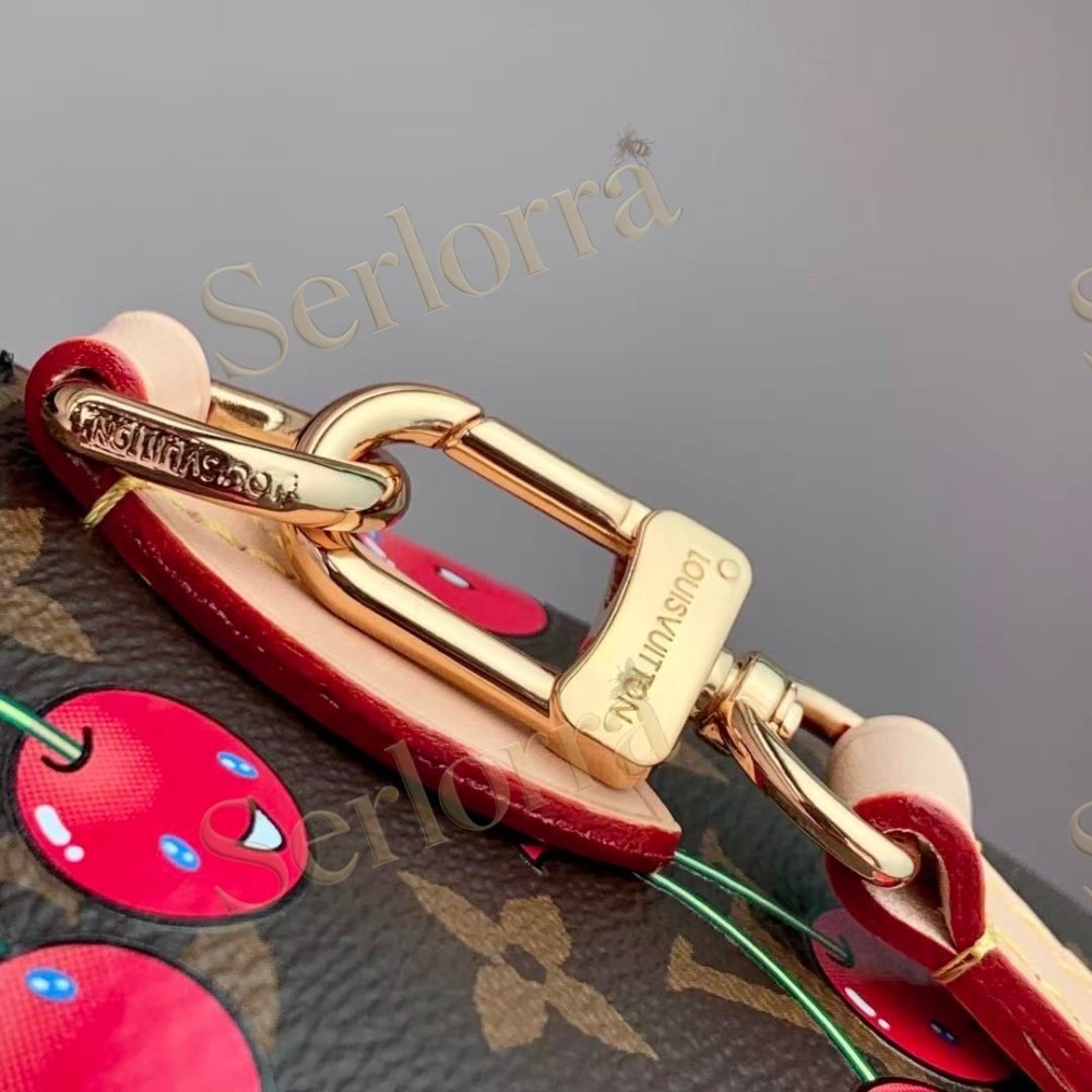 LOUIS VUITTON MURAKAMI LV X TM SPEEDY BANDOULIÈRE 20