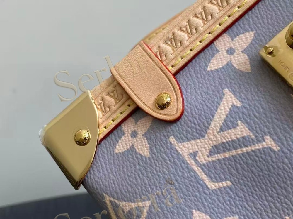LOUIS VUITTON SIDE TRUNK MM