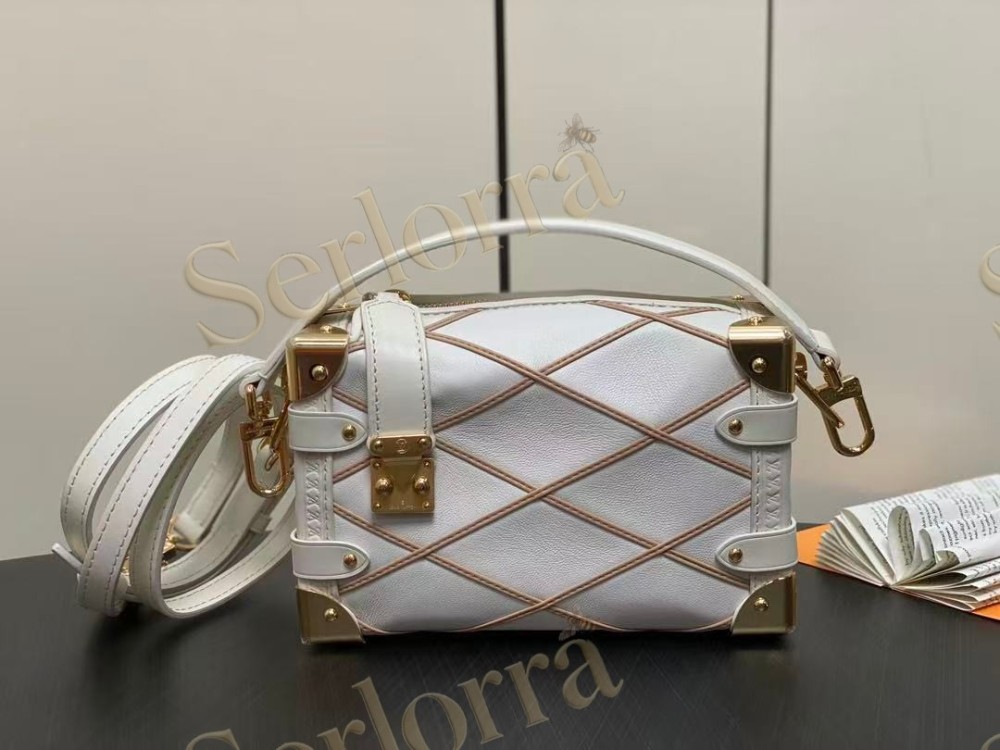 LOUIS VUITTON SIDE TRUNK PM