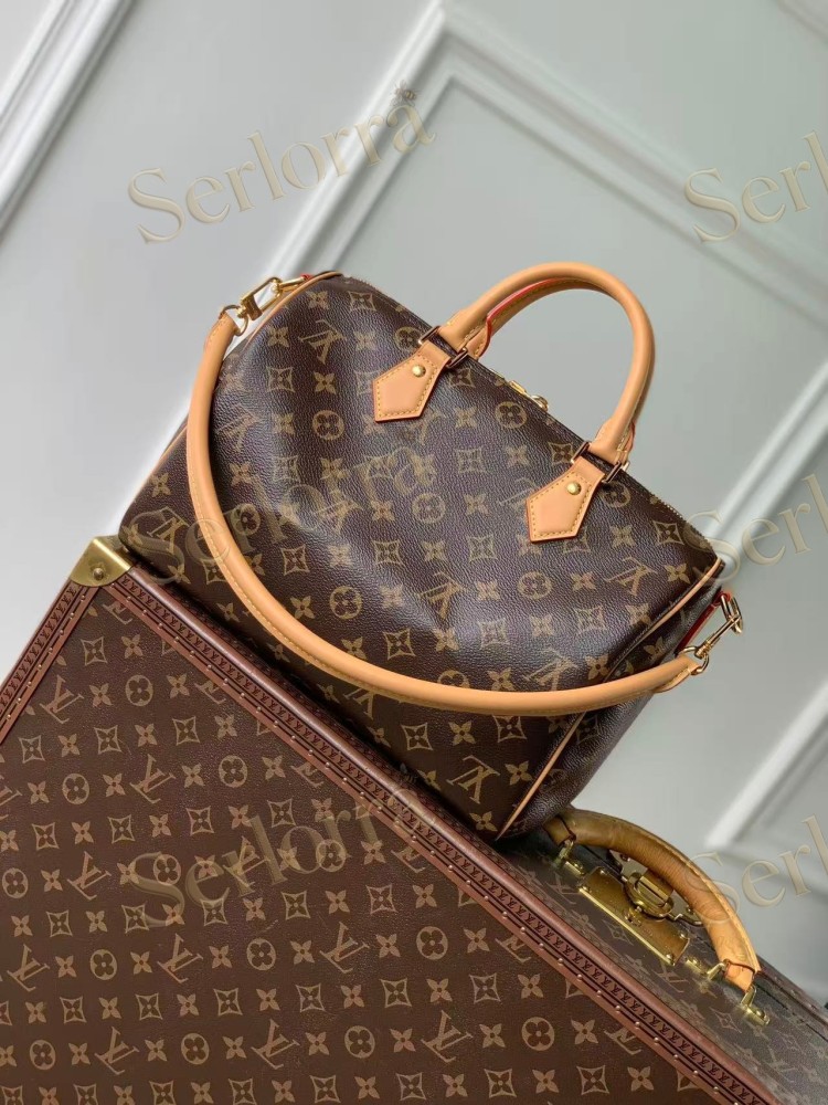 LOUIS VUITTON SPEEDY SOFT 30 CRAFTY