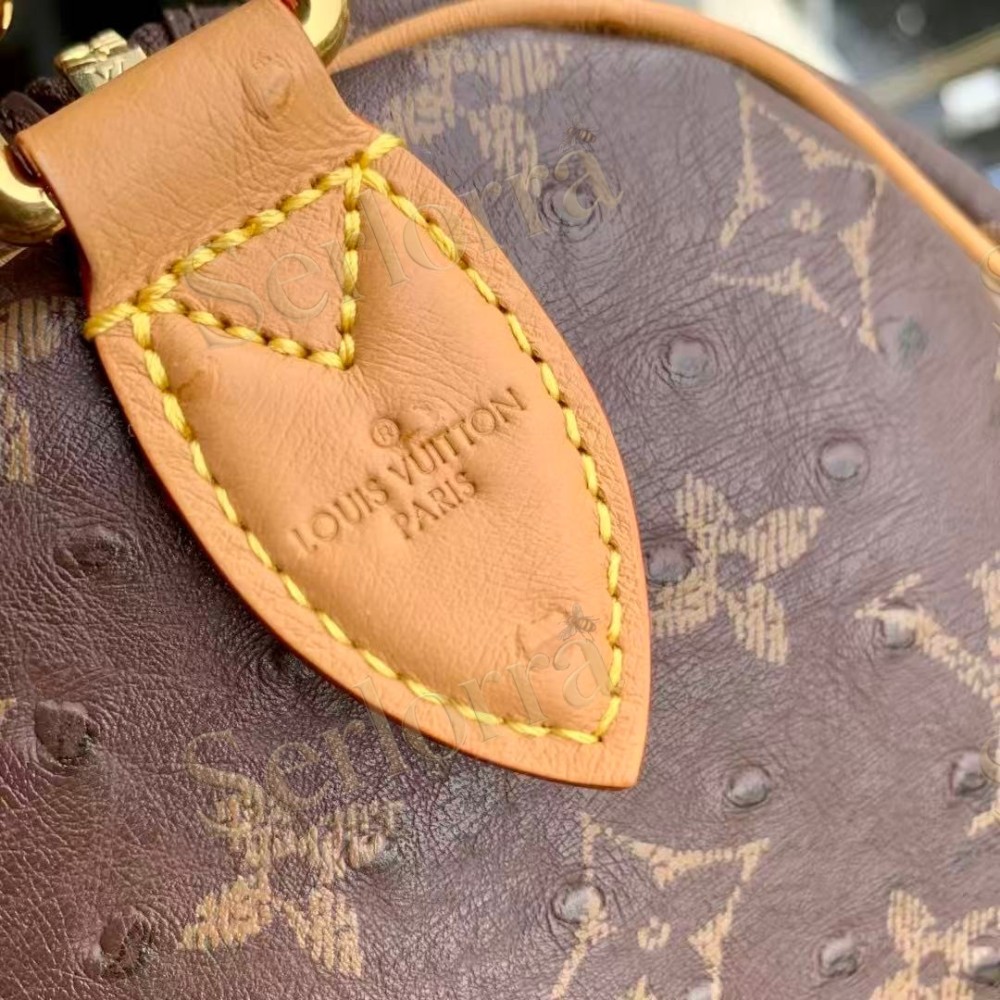 LOUIS VUITTON SPEEDY P9 BANDOULIÈRE 30