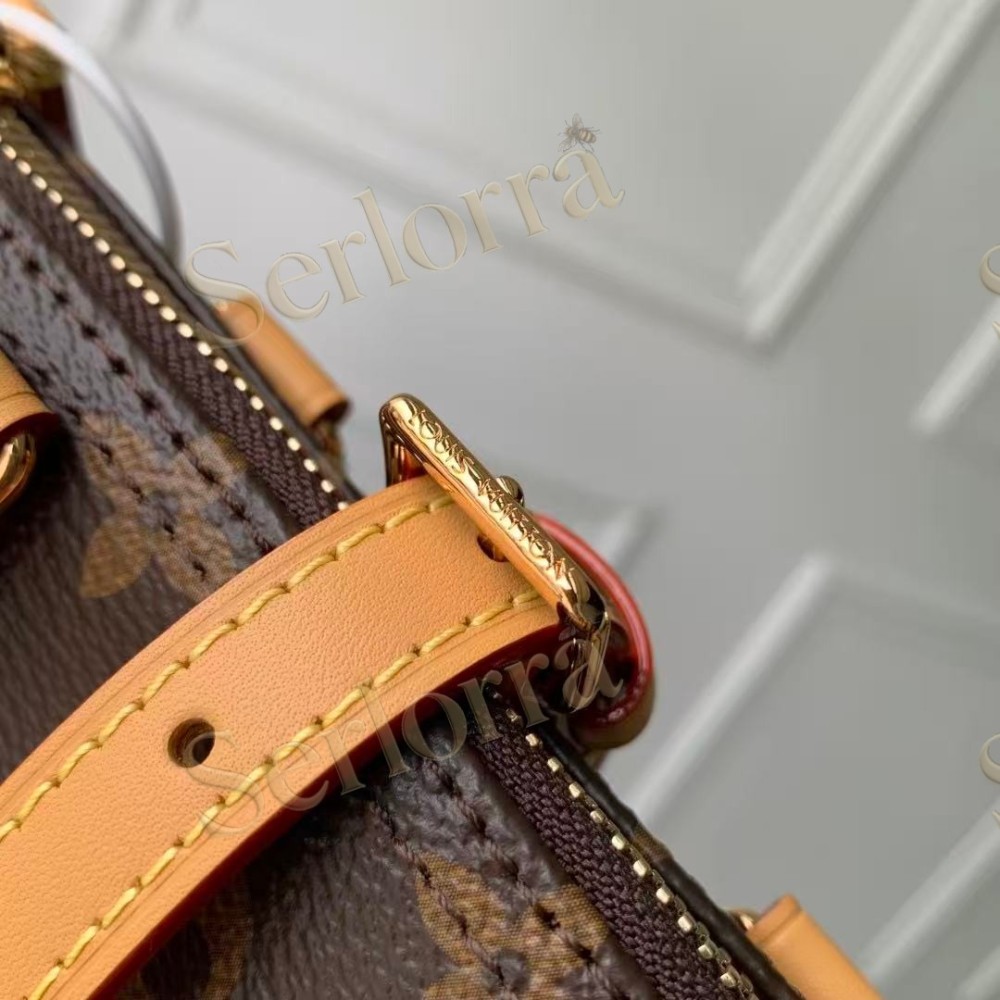 LOUIS VUITTON NANO SPEEDY
