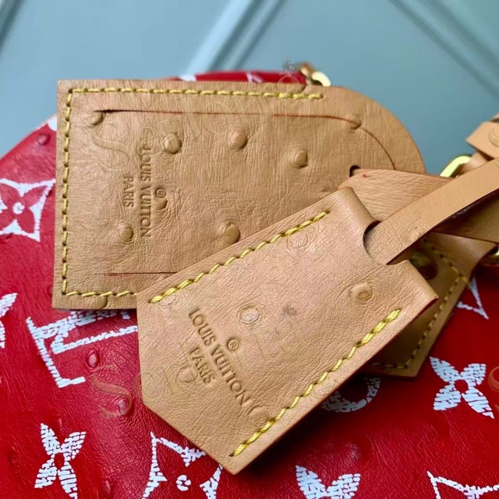 LOUIS VUITTON SPEEDY P9 BANDOULIÈRE 30