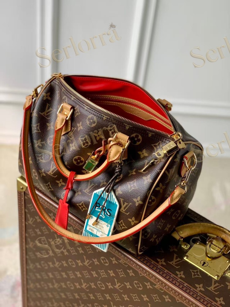 LOUIS VUITTON SPEEDY SOFT 30 CRAFTY