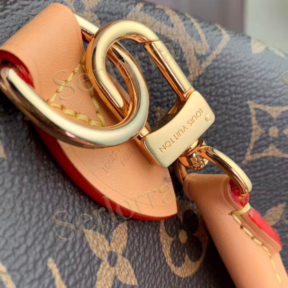 LOUIS VUITTON SPEEDY SOFT 30 CRAFTY