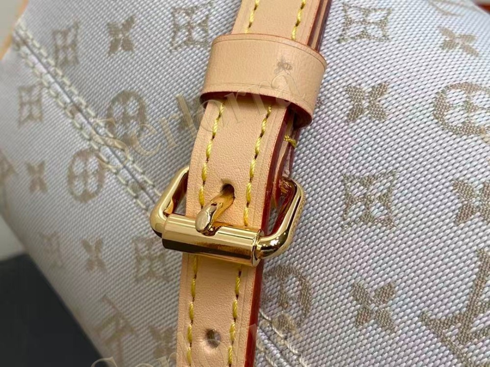 LOUIS VUITTON SPEEDY BANDOULIÈRE 20