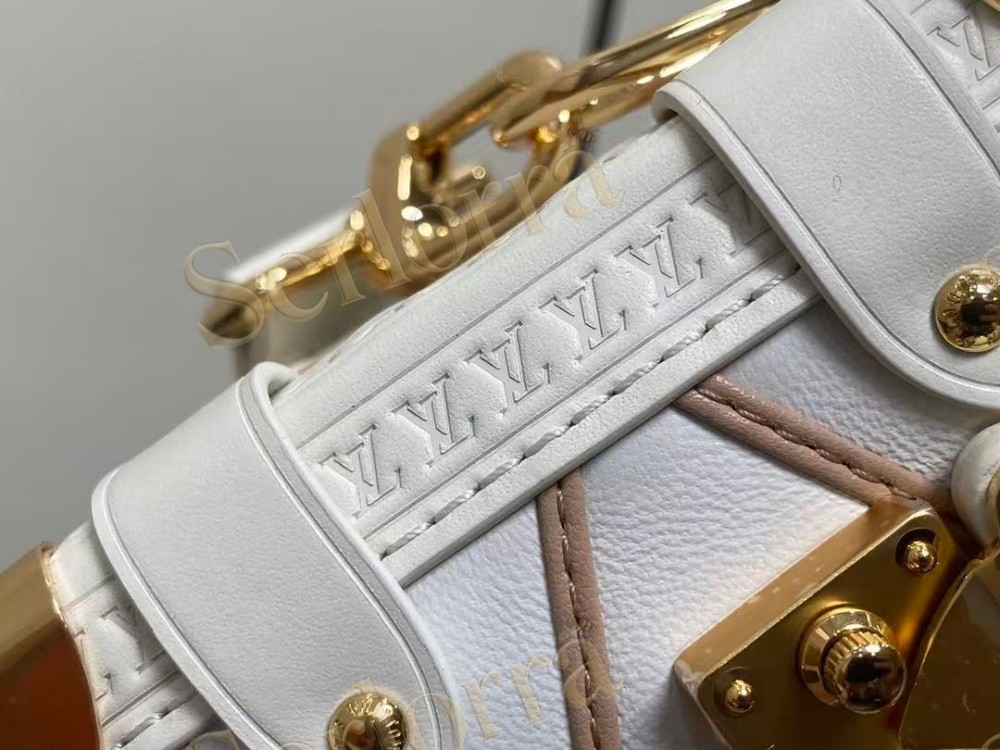 LOUIS VUITTON SIDE TRUNK PM