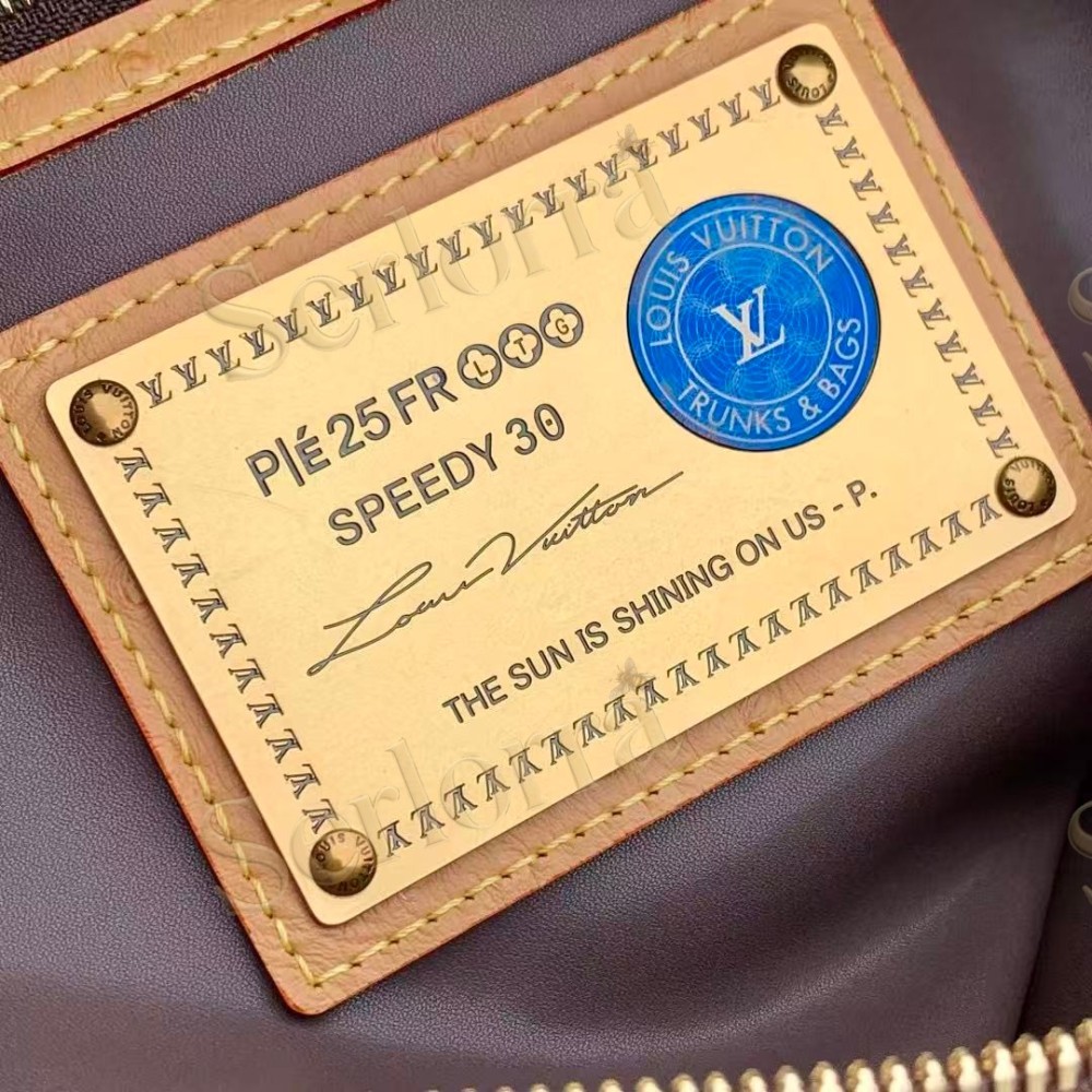 LOUIS VUITTON SPEEDY P9 BANDOULIÈRE 30