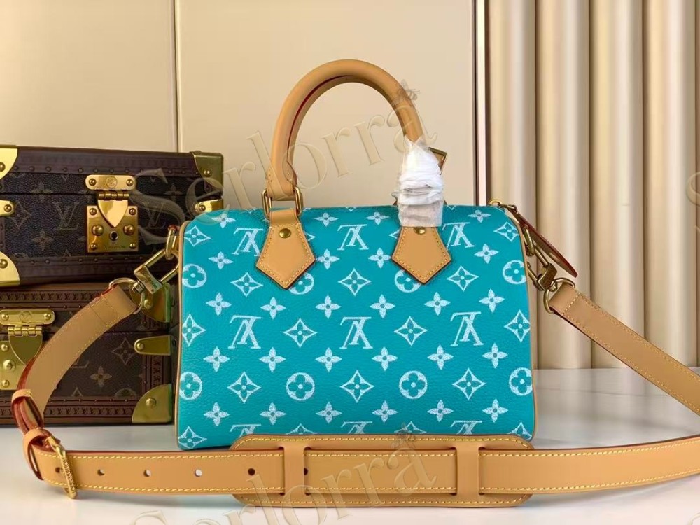 LOUIS VUITTON SPEEDY P9 BANDOULIÈRE 25