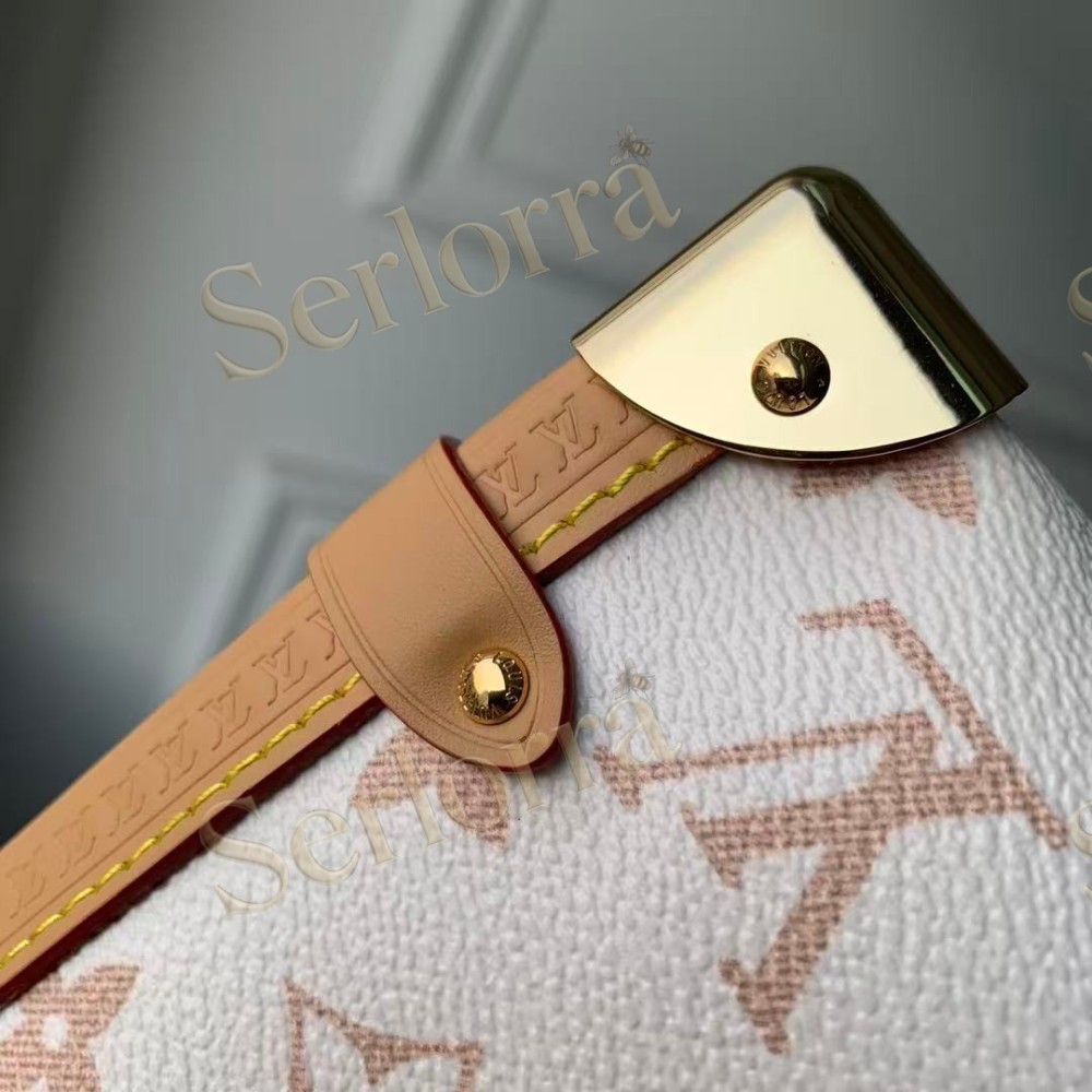 LOUIS VUITTON SIDE TRUNK MM