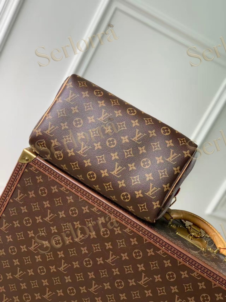 LOUIS VUITTON SPEEDY SOFT 30 CRAFTY