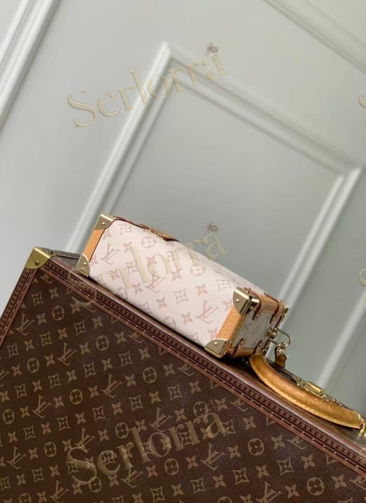 LOUIS VUITTON SIDE TRUNK MM