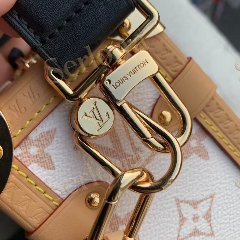LOUIS VUITTON SIDE TRUNK MM