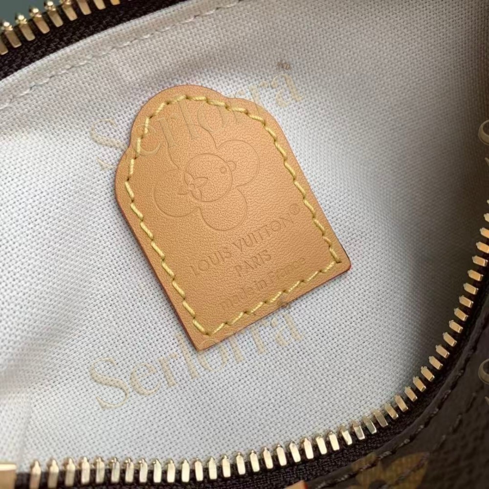 LOUIS VUITTON NANO SPEEDY