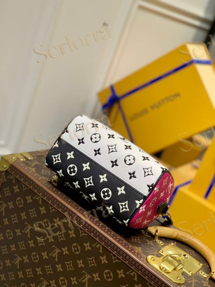 LOUIS VUITTON SPEEDY BANDOULIÈRE 20