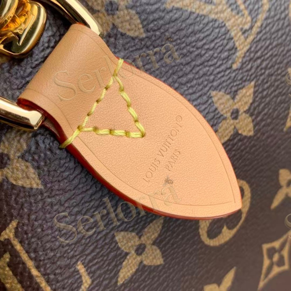 LOUIS VUITTON SPEEDY SOFT 30 CRAFTY