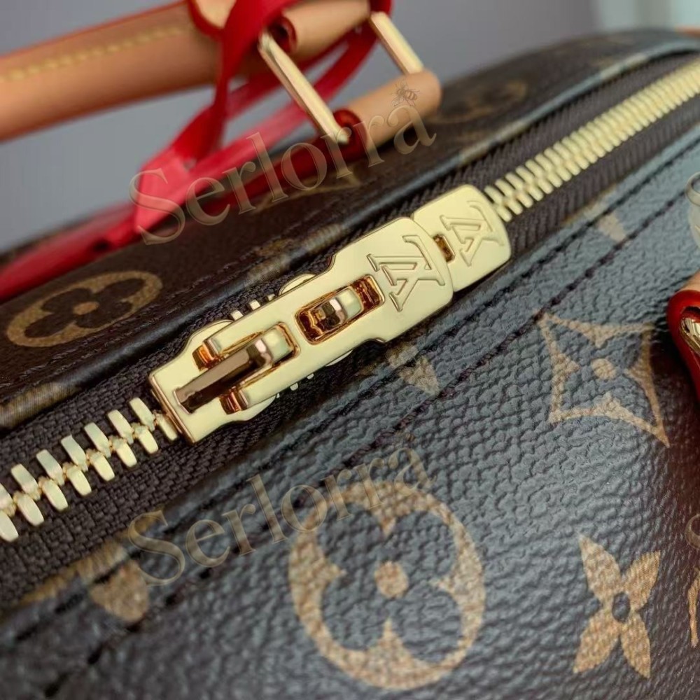 LOUIS VUITTON SPEEDY SOFT 30 CRAFTY