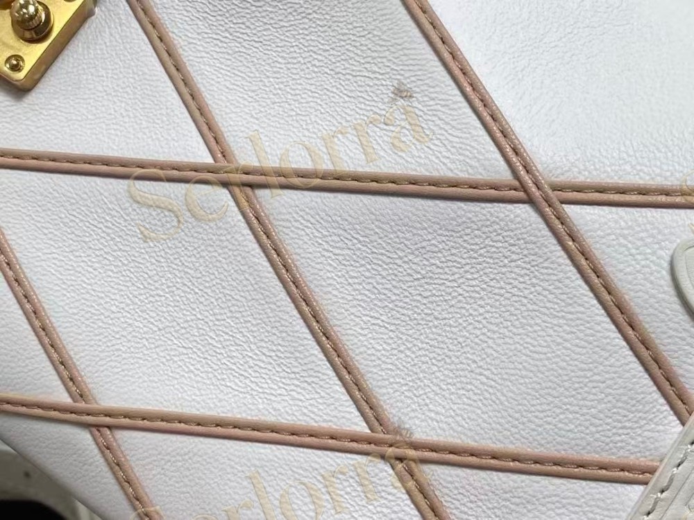 LOUIS VUITTON SIDE TRUNK PM