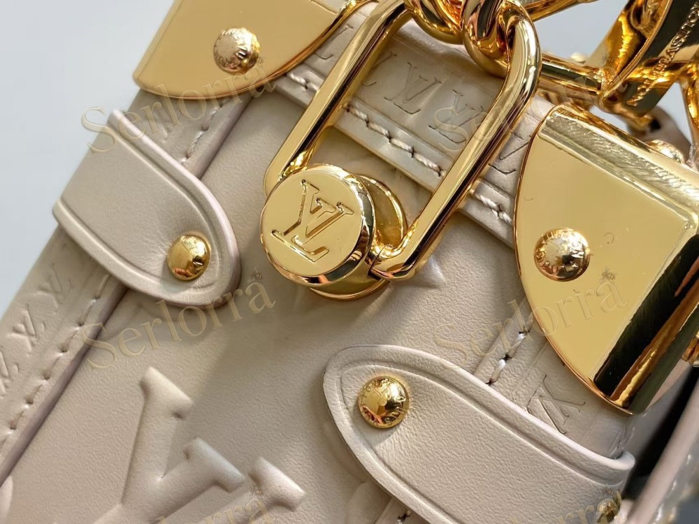 LOUIS VUITTON SIDE TRUNK PM