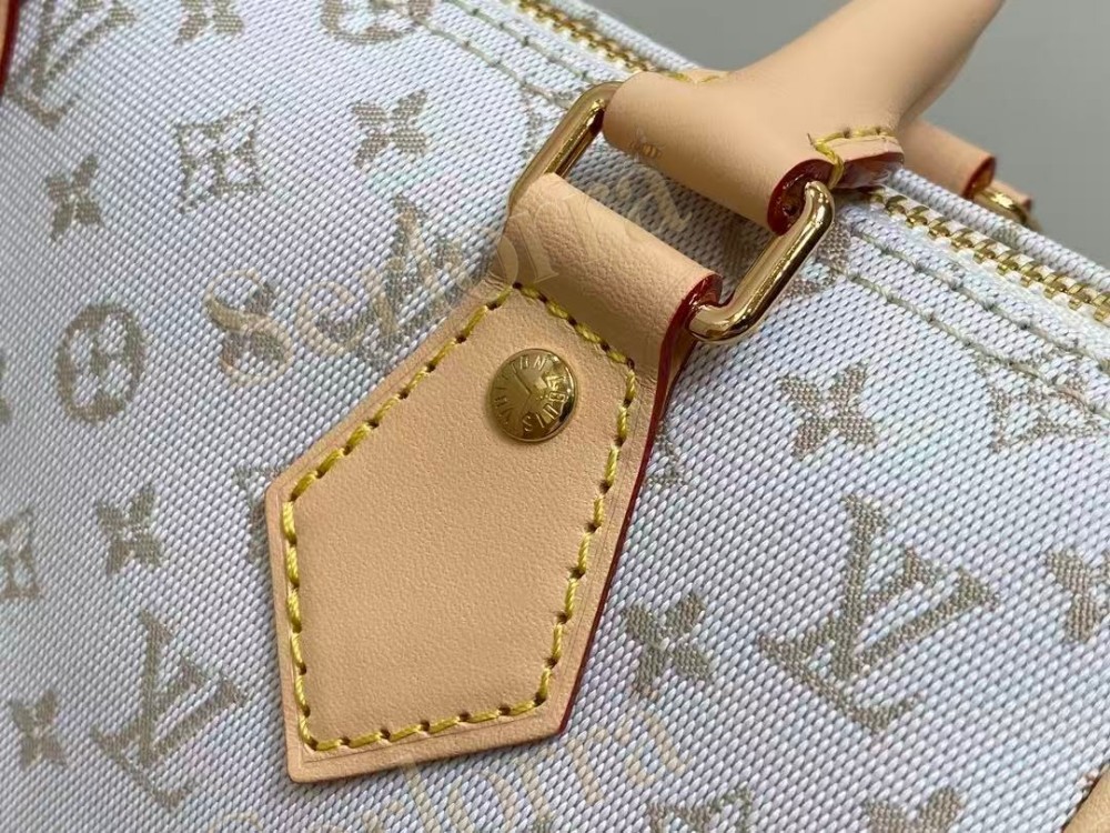 LOUIS VUITTON SPEEDY BANDOULIÈRE 20