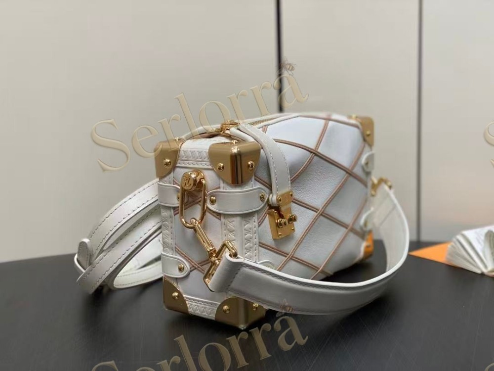 LOUIS VUITTON SIDE TRUNK PM