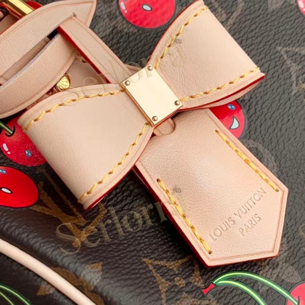 LOUIS VUITTON MURAKAMI LV X TM SPEEDY BANDOULIÈRE 20
