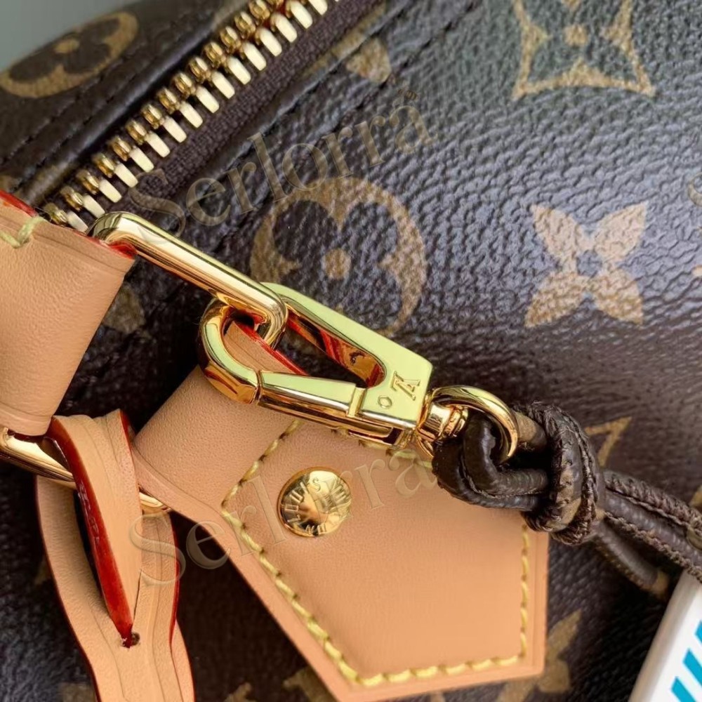 LOUIS VUITTON SPEEDY SOFT 30 CRAFTY