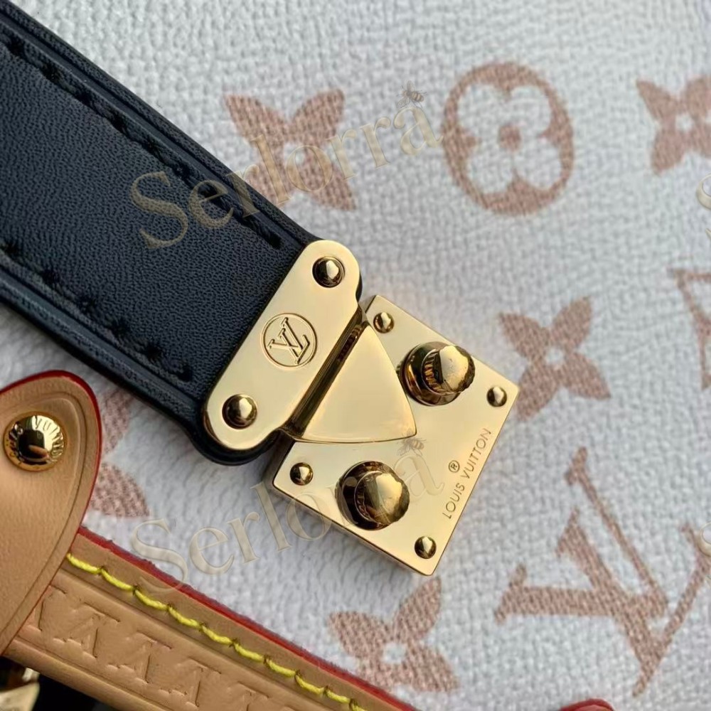 LOUIS VUITTON SIDE TRUNK MM