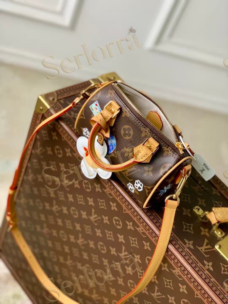 LOUIS VUITTON NANO SPEEDY
