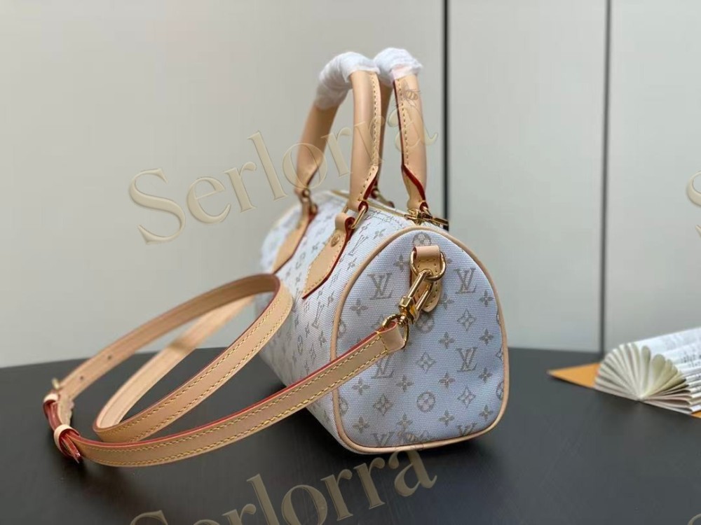 LOUIS VUITTON SPEEDY BANDOULIÈRE 20