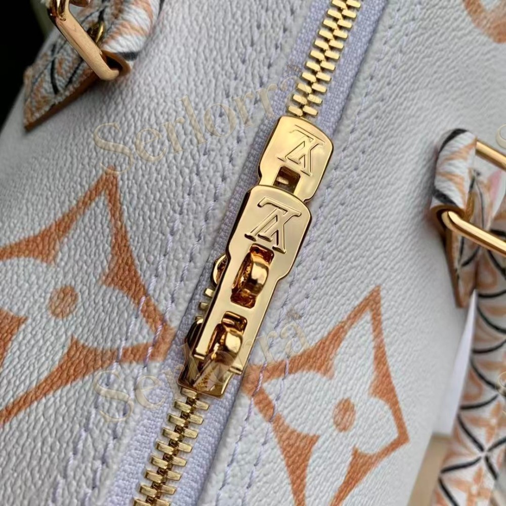 LOUIS VUITTON SPEEDY BANDOULIÈRE 25