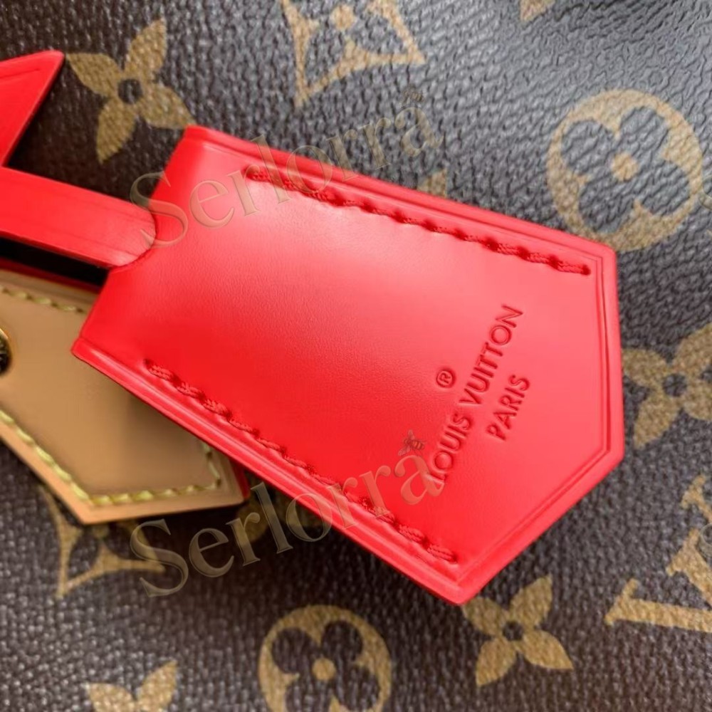 LOUIS VUITTON SPEEDY SOFT 30 CRAFTY