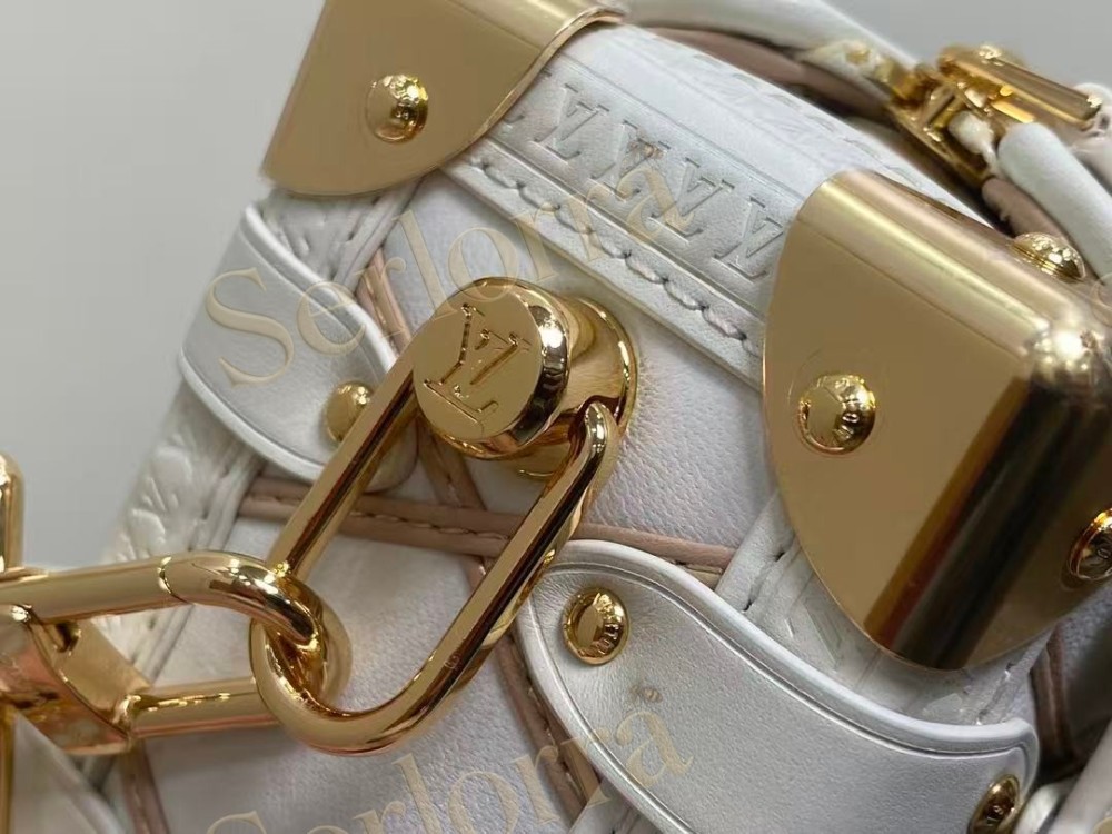 LOUIS VUITTON SIDE TRUNK PM