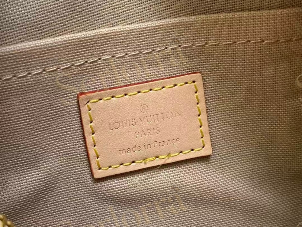 LOUIS VUITTON SPEEDY BANDOULIÈRE 20