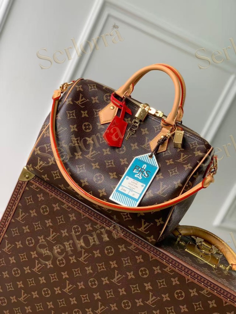 LOUIS VUITTON SPEEDY SOFT 30 CRAFTY