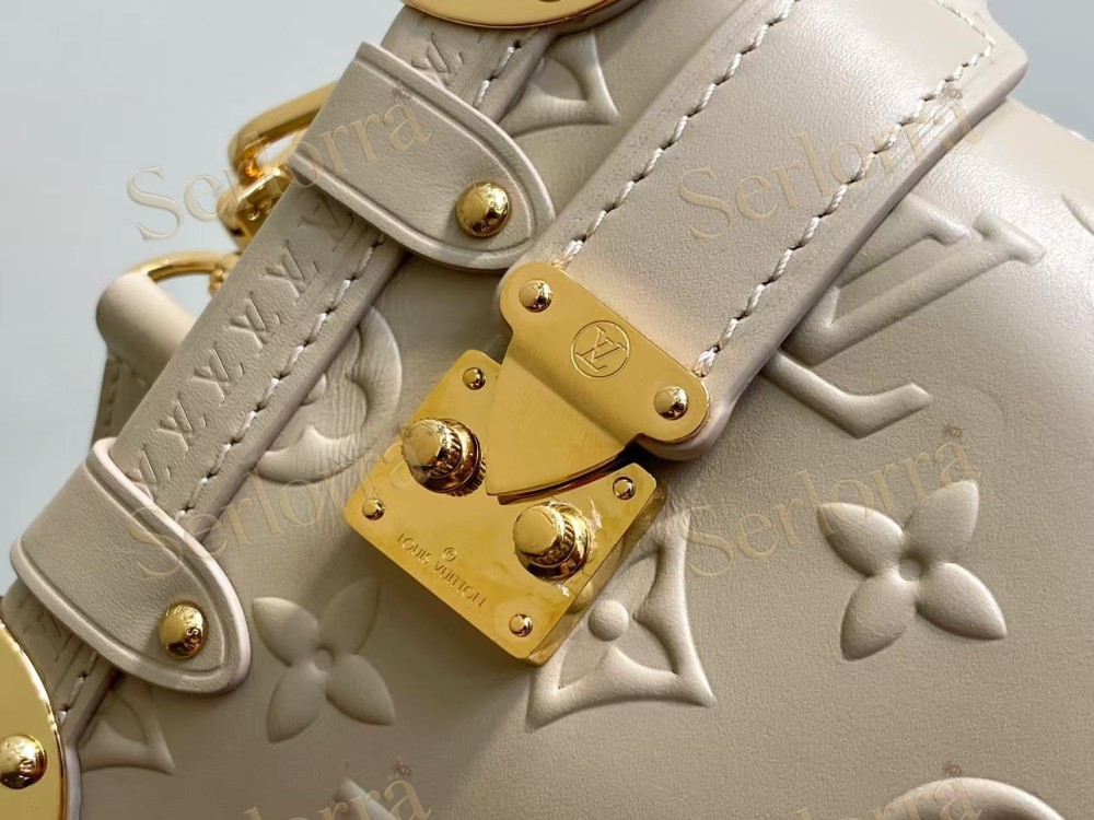 LOUIS VUITTON SIDE TRUNK PM