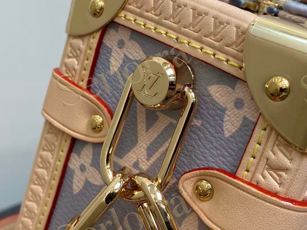 LOUIS VUITTON SIDE TRUNK MM
