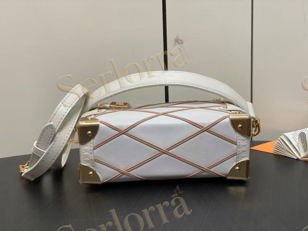 LOUIS VUITTON SIDE TRUNK PM