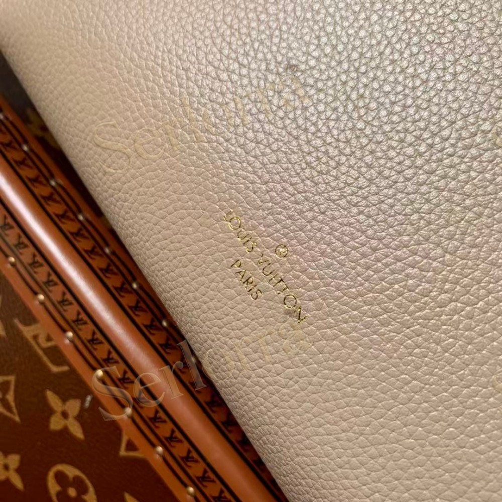 LOUIS VUITTON SIDE TRUNK MM