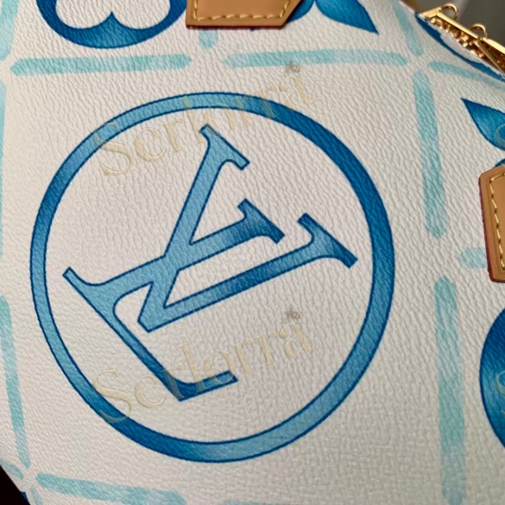 LOUIS VUITTON SPEEDY BANDOULIÈRE 25