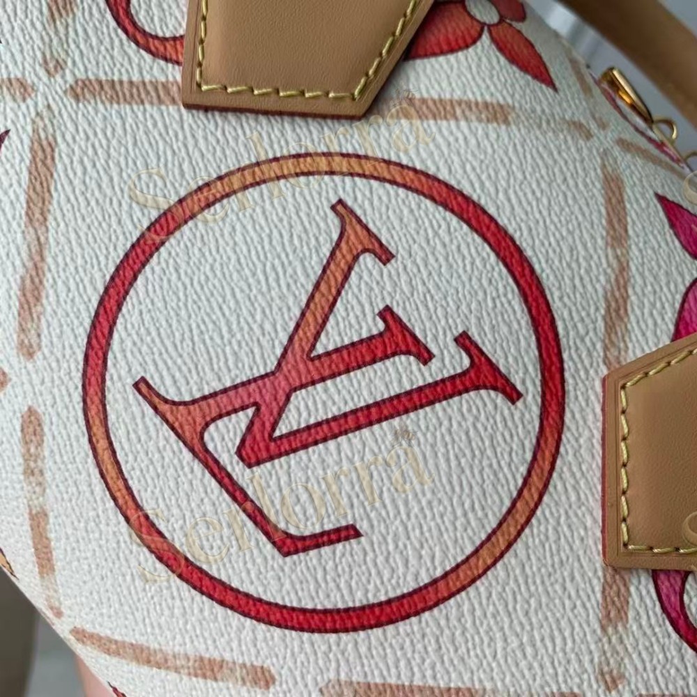 LOUIS VUITTON SPEEDY BANDOULIÈRE 20